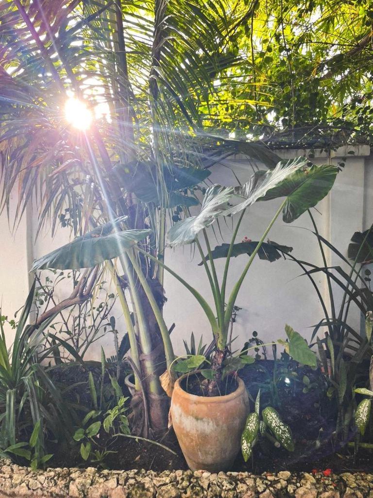 Nakupenda Paje Villa ภายนอก รูปภาพ